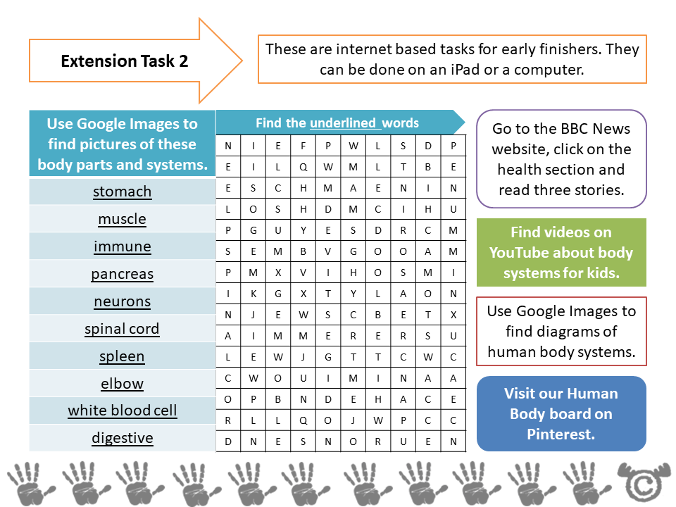 Extension tasks from Human Body Science pack, Second Level