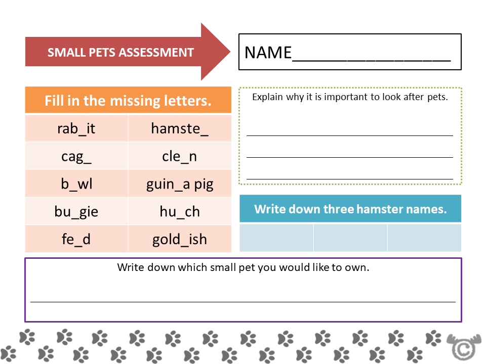 Assessment task from Keeping Pets Social Studies pack, Early Level