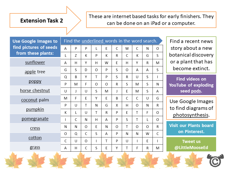 Extension tasks from Plants Science pack, Second Level