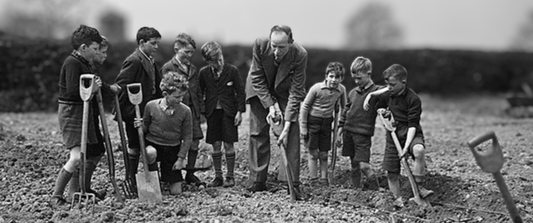 The Surprising Role of the Potato in World War II