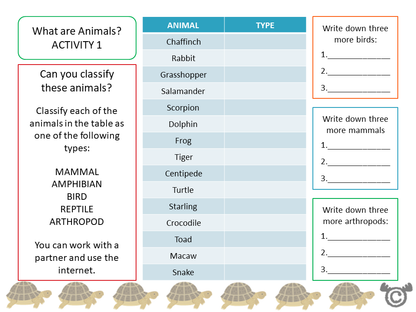Classifying activity from Electricity Science pack, Second Level