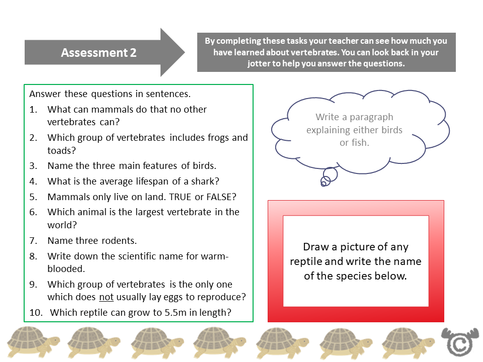 Assessment task from Animals Science pack, Second Level