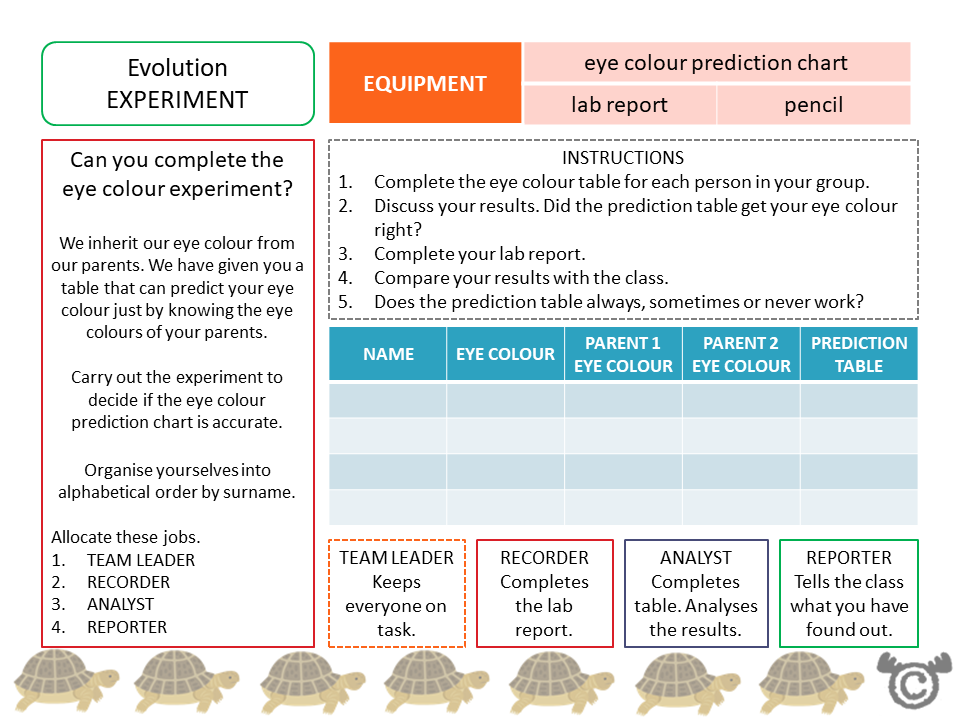 Experiment page from Animals Science pack, Second Level