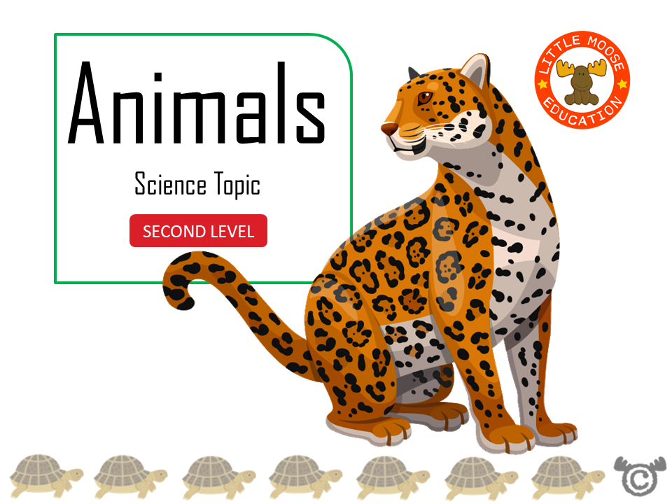 Animals digital topic pack front cover, Science Second Level, Curriculum for Excellence