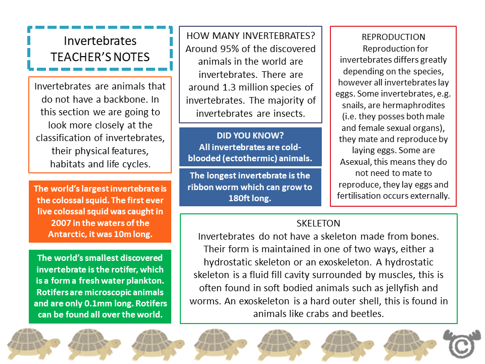 Teacher’s notes from Animals Science pack, Second Level