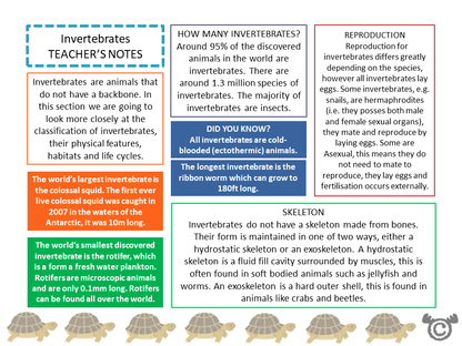 Teacher’s notes from Animals Science pack, Second Level