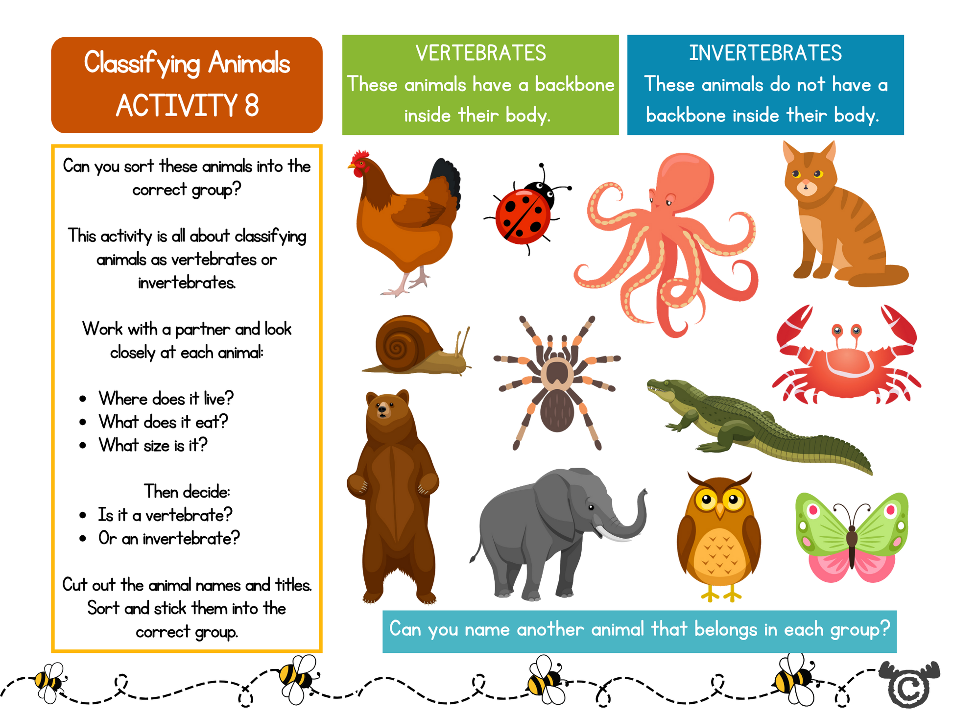Sorting activity from Discovering Forces Science pack, First Level