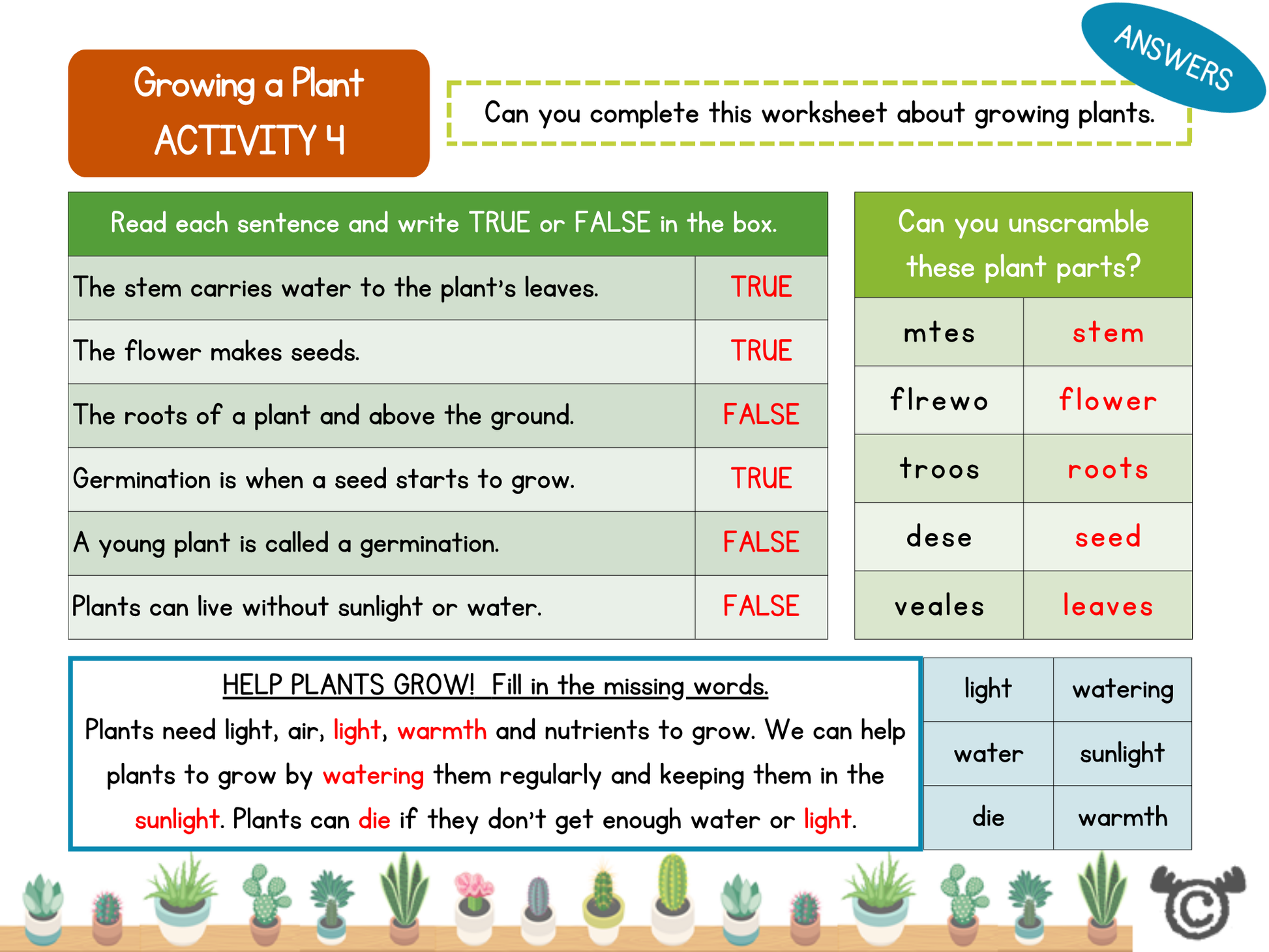Worksheet titled “Growing a Plant – Activity 4” with true/false questions, plant part unscramble puzzle, and a fill-in-the-blanks section about helping plants grow.