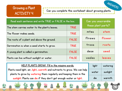 Worksheet titled “Growing a Plant – Activity 4” with true/false questions, plant part unscramble puzzle, and a fill-in-the-blanks section about helping plants grow.