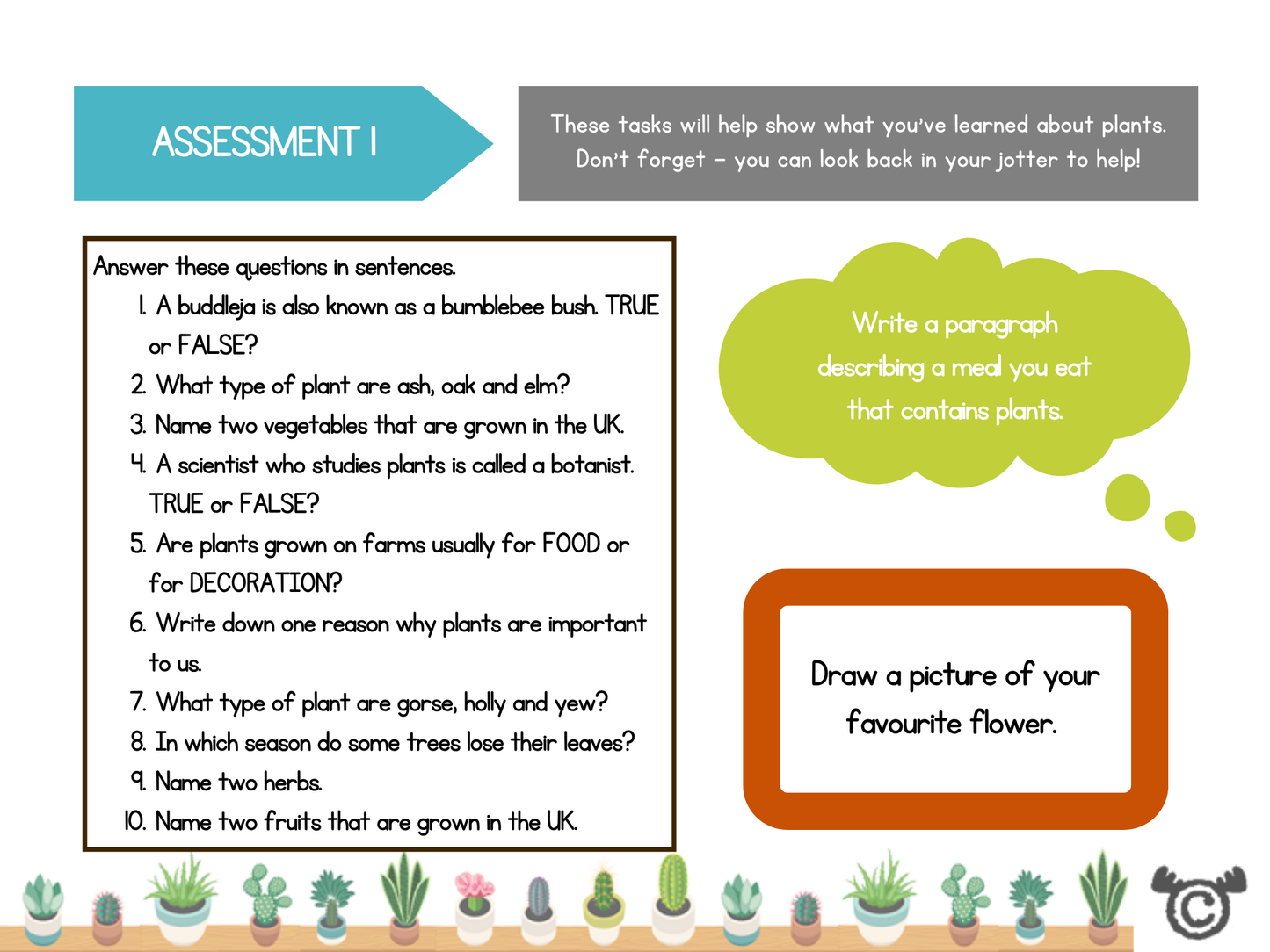 Assessment task for Discovering Plants topic pack including ten questions, paragraph prompt about a plant-based meal, and a drawing task for pupils to illustrate their favourite flower.