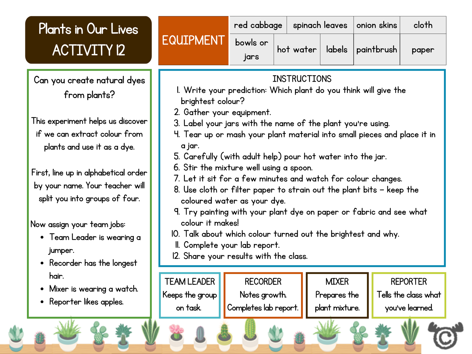Hands-on science experiment page titled “Plants in Our Lives – Activity 12” guiding pupils through making natural dyes from red cabbage, spinach, and onion skins, with team roles and instructions.