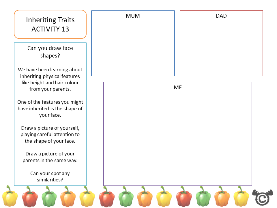 Drawing activity from Discovering the Human Body Science pack, First Level