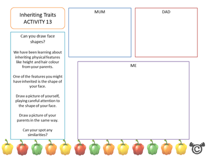 Drawing activity from Discovering the Human Body Science pack, First Level
