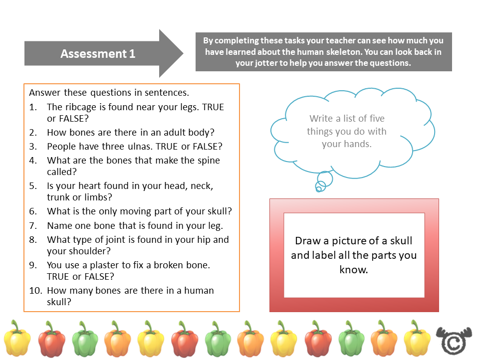Assessment task from Discovering the Human Body Science pack, First Level