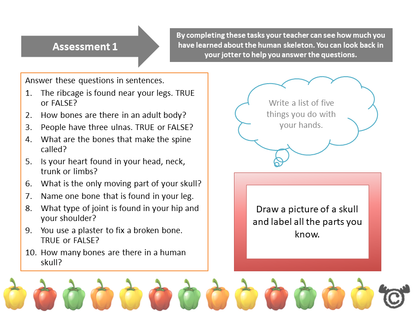 Assessment task from Discovering the Human Body Science pack, First Level