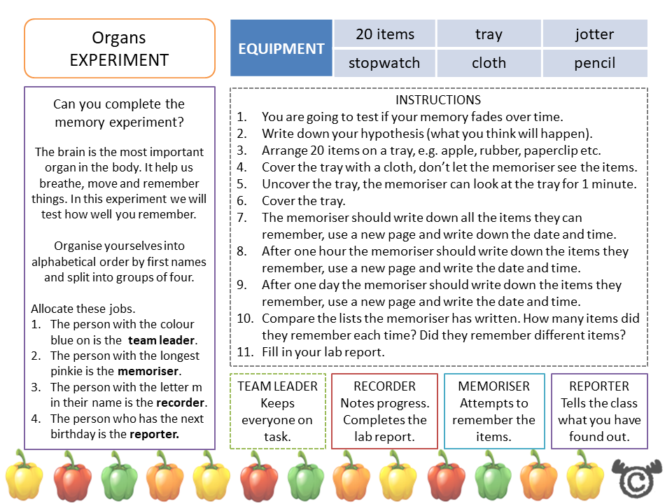 Experiment page from Discovering the Human Body Science pack, First Level