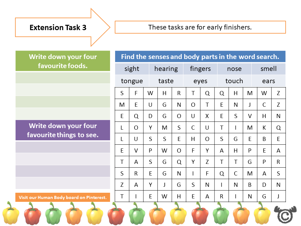 Extension tasks from Discovering the Human Body Science pack, First Level