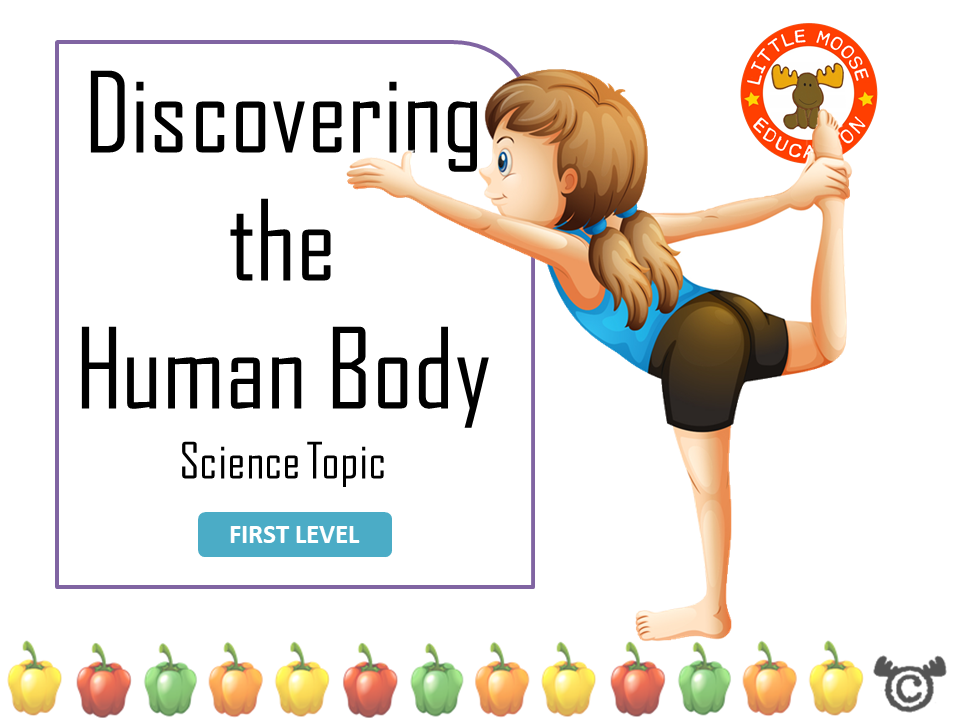 Discovering the Human Body digital topic pack front cover, Science First Level, Curriculum for Excellence