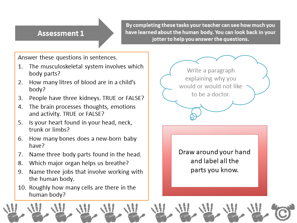 Assessment task from he Human Body Science pack, Second Level