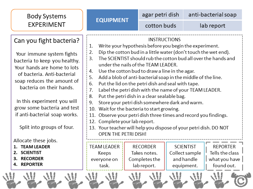 Experiment page from Human Body Science pack, Second Level