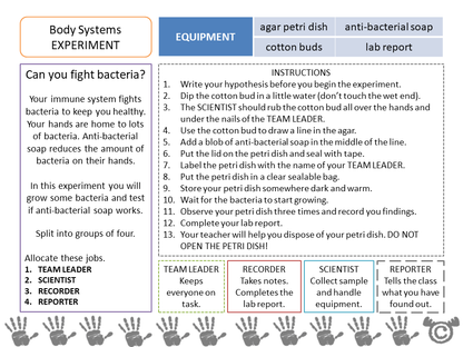 Experiment page from Human Body Science pack, Second Level