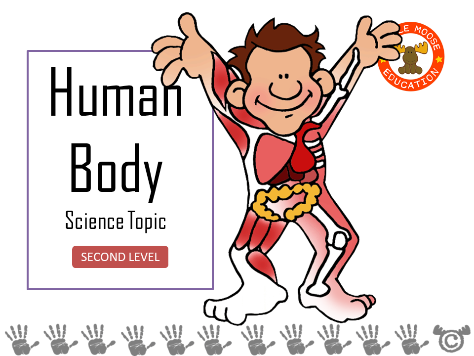 Human Body digital topic pack front cover, Science Second Level, Curriculum for Excellence