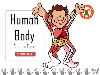 Human Body digital topic pack front cover, Science Second Level, Curriculum for Excellence