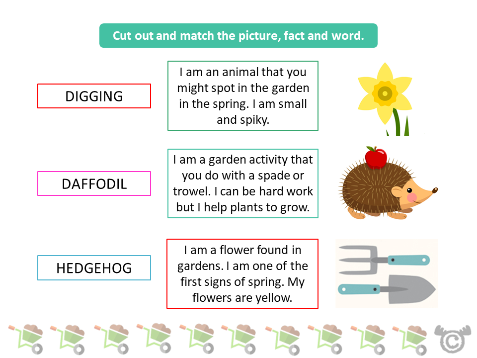 Matching activity from In the Garden Social Studies pack, Early Level