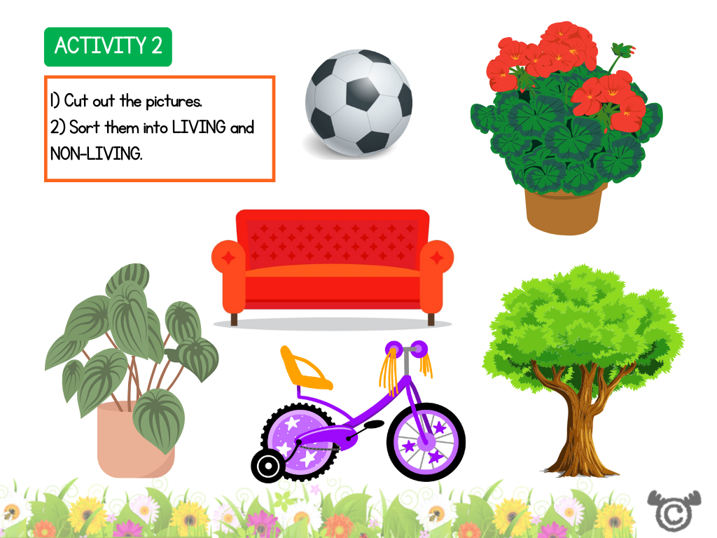 Sorting activity from Introducing Forces Science pack, Early Level
