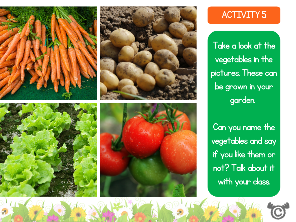 Naming activity from Introducing Forces Science pack, Early Level