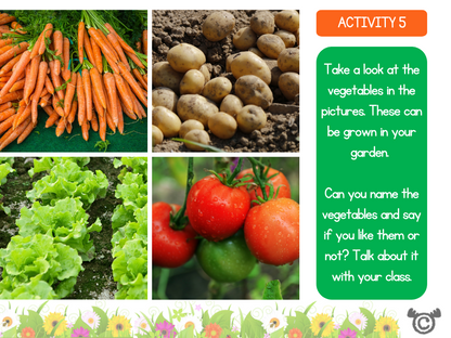 Naming activity from Introducing Forces Science pack, Early Level