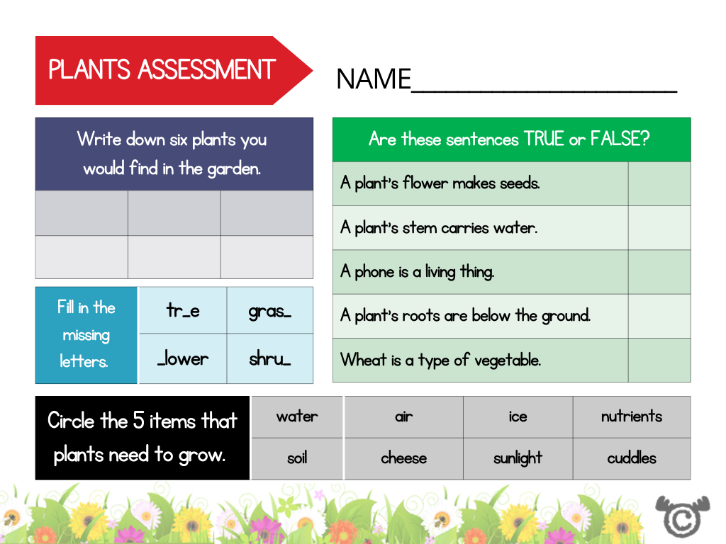 Assessment activity from Introducing Forces Science pack, Early Level