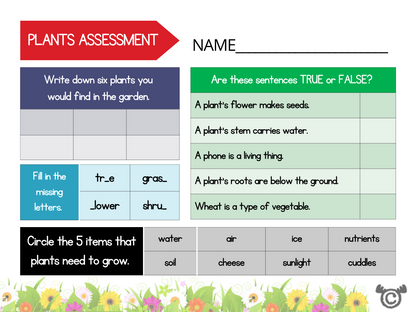 Assessment activity from Introducing Forces Science pack, Early Level