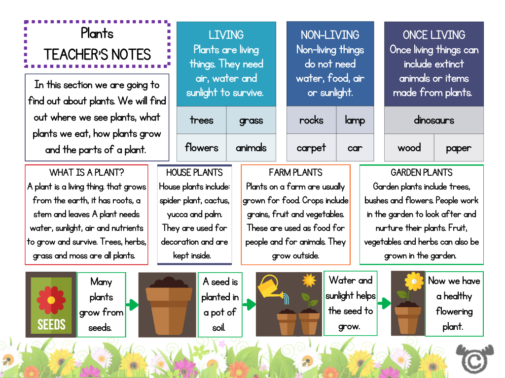 Teacher’s notes from Introducing Plants Science pack, Early Level