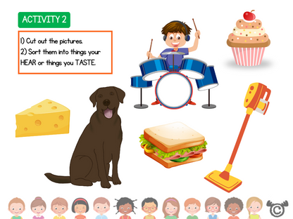 Sorting activity from Introducing Forces Science pack, Early Level