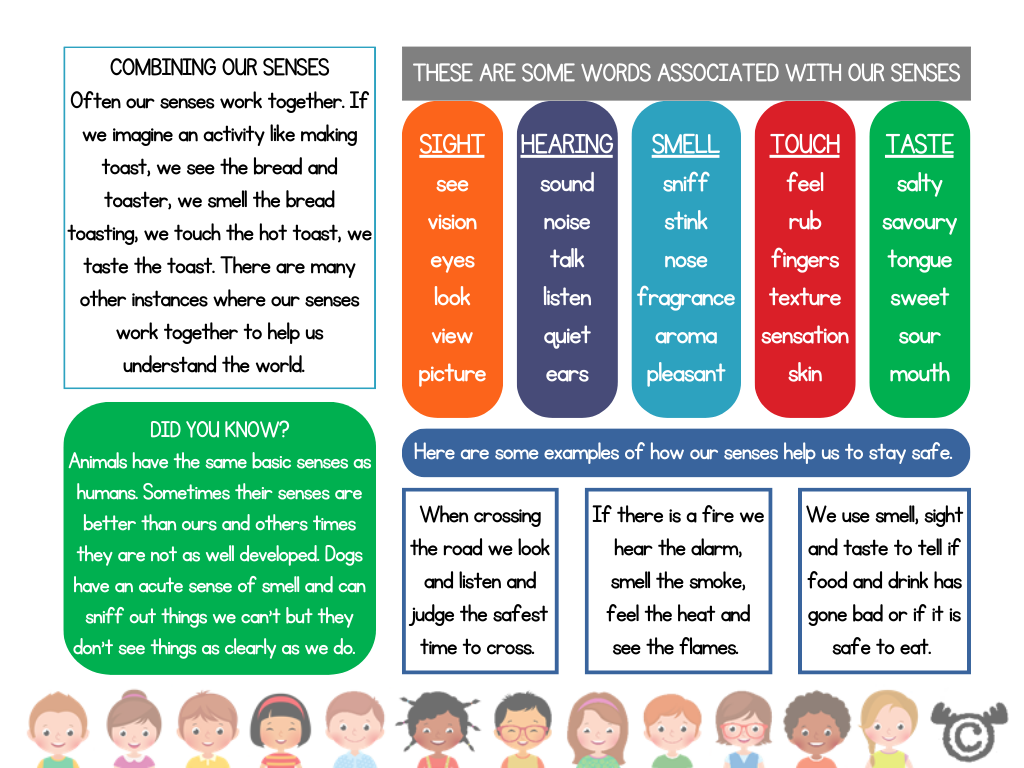 Teacher’s notes from Introducing Senses Science pack, Early Level