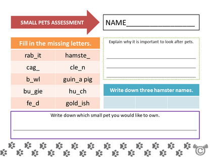 Assessment task from Keeping Pets Social Studies pack, Early Level