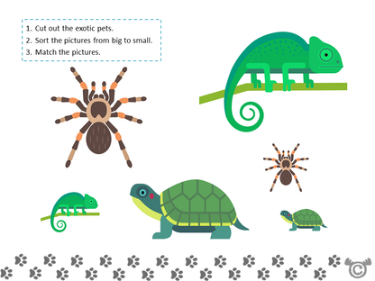 Sorting activity from Children in the Past Social Studies pack, Early Level
