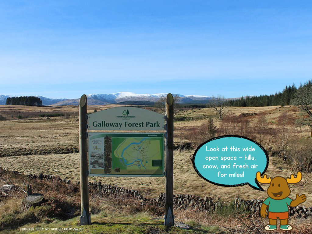 Landmark – Galloway Forest Park in My Area – Dumfries and Galloway Social Studies pack, First Level