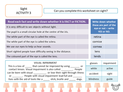 Worksheet activity from Light Science pack, Second Level
