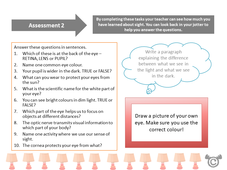 Assessment task from Light Science pack, Second Level