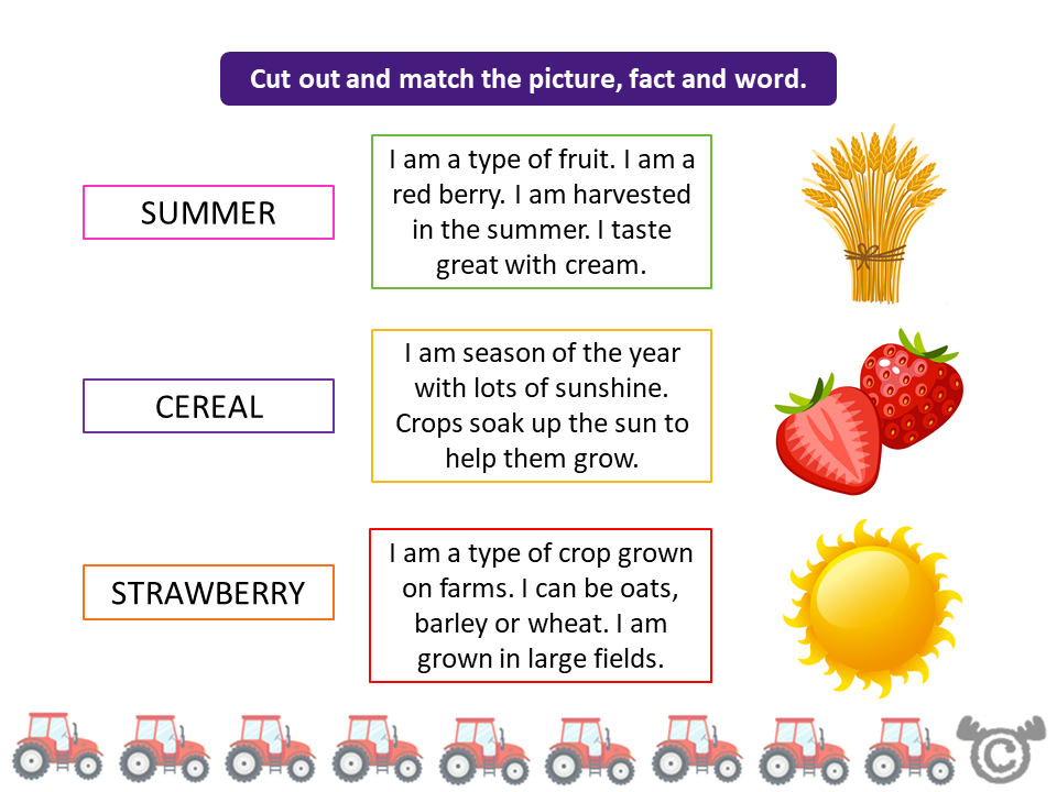 Matching activity from On the Farm Social Studies pack, Early Level