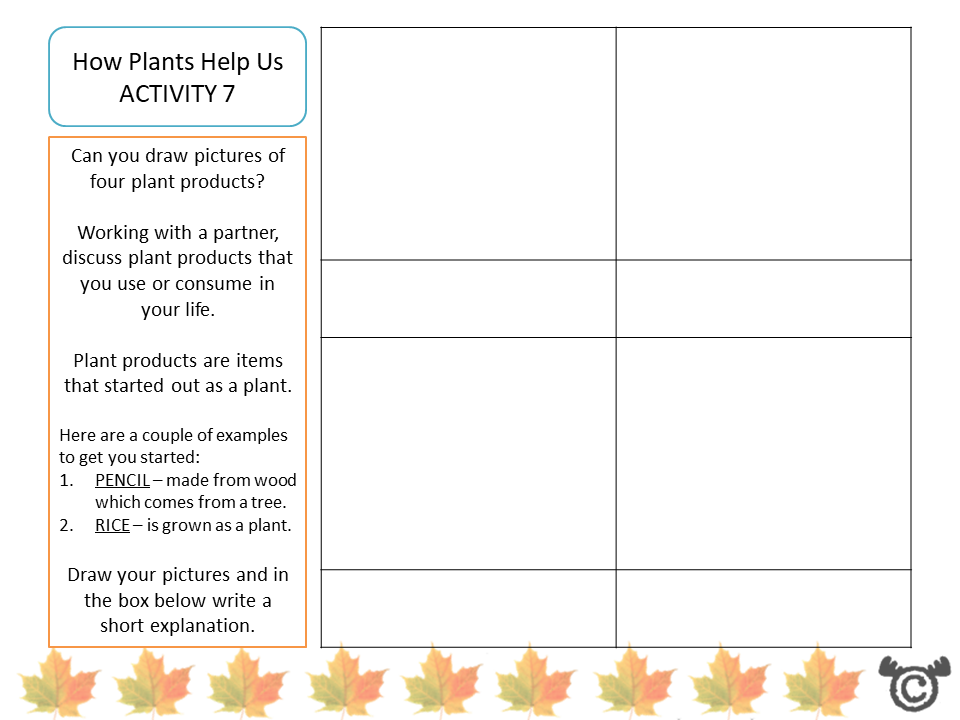 Drawing activity from Plants Science pack, Second Level