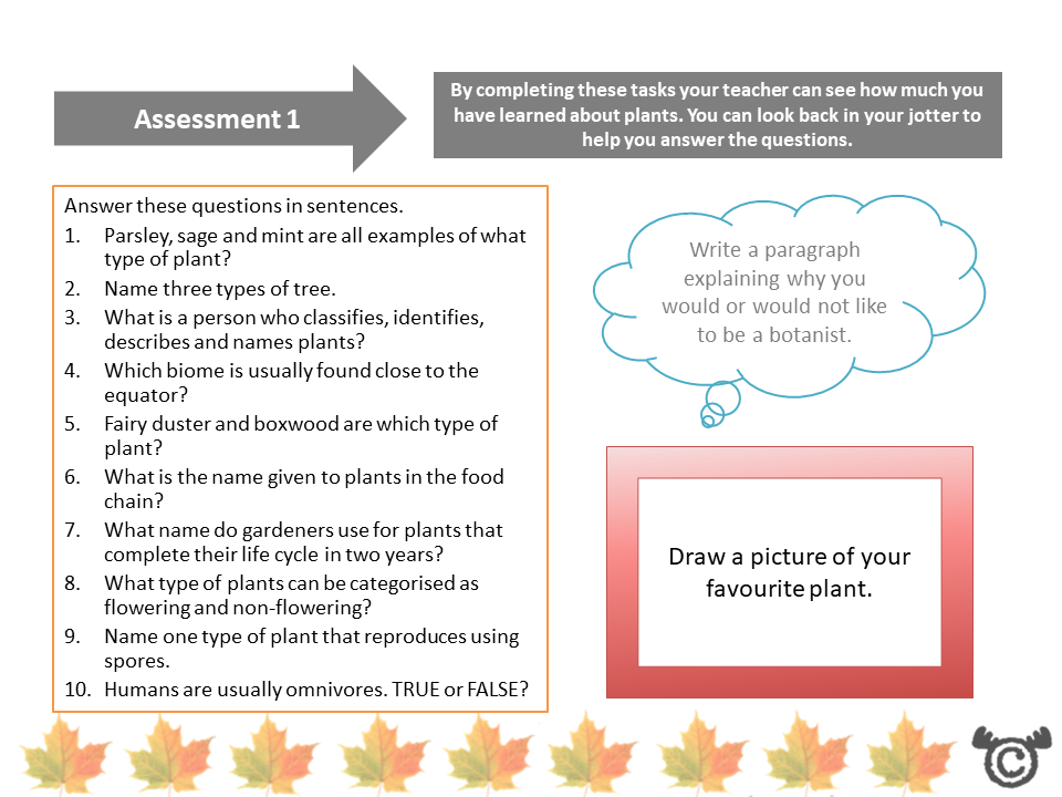 Assessment task from Plants Science pack, Second Level