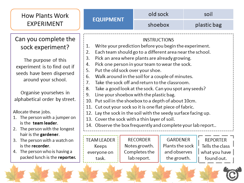 Experiment page from Plants Science pack, Second Level