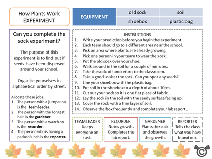 Experiment page from Plants Science pack, Second Level