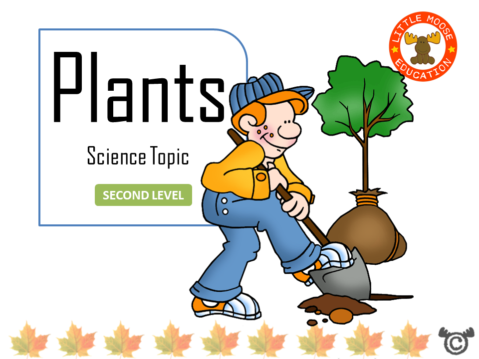 Plants digital topic pack front cover, Science Second Level, Curriculum for Excellence