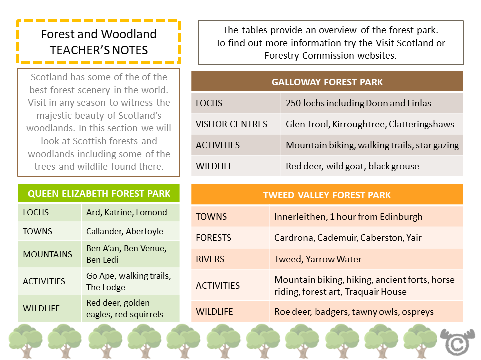 Teacher’s notes from Teacher's Notes Social Studies pack, Second Level