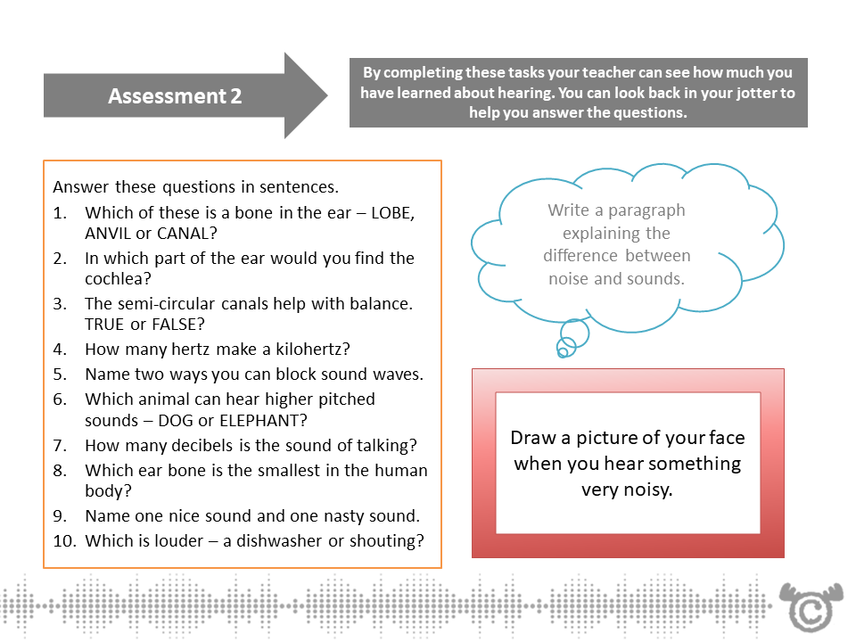 Assessment task from Sound Science pack, Second Level